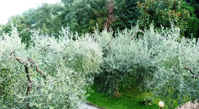 Appartamento Azalea
