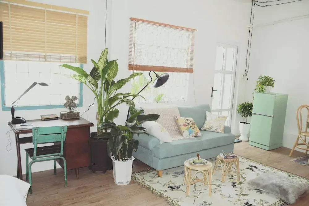 Sunny Greenery oasis in downtown