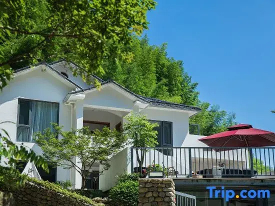 Anji Qingwei Wild Luxury Land Famliy Parent-child Holiday Homestay