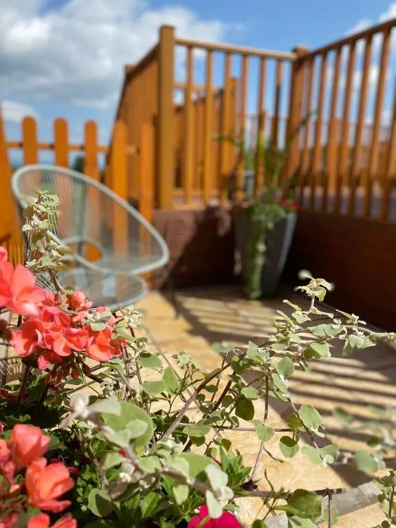 The Beehive -Stunning Views - Hot Tub - Romantic