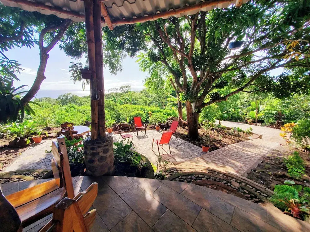 The Jungle Lodge