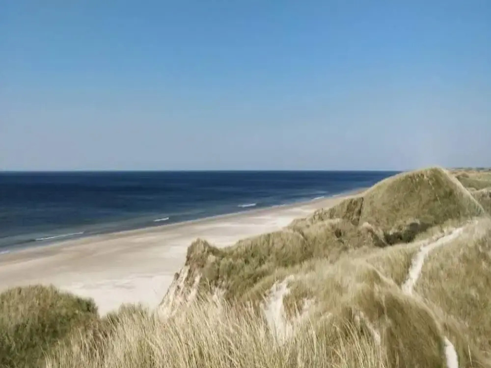 6 person holiday home in Blokhus