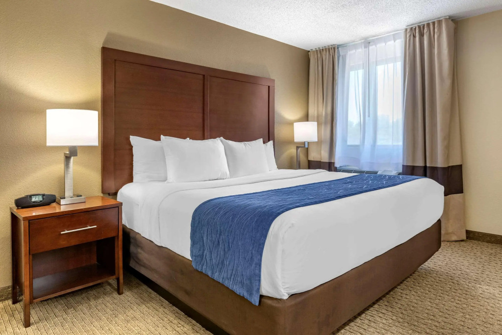 Comfort Inn Near Greenfield Village