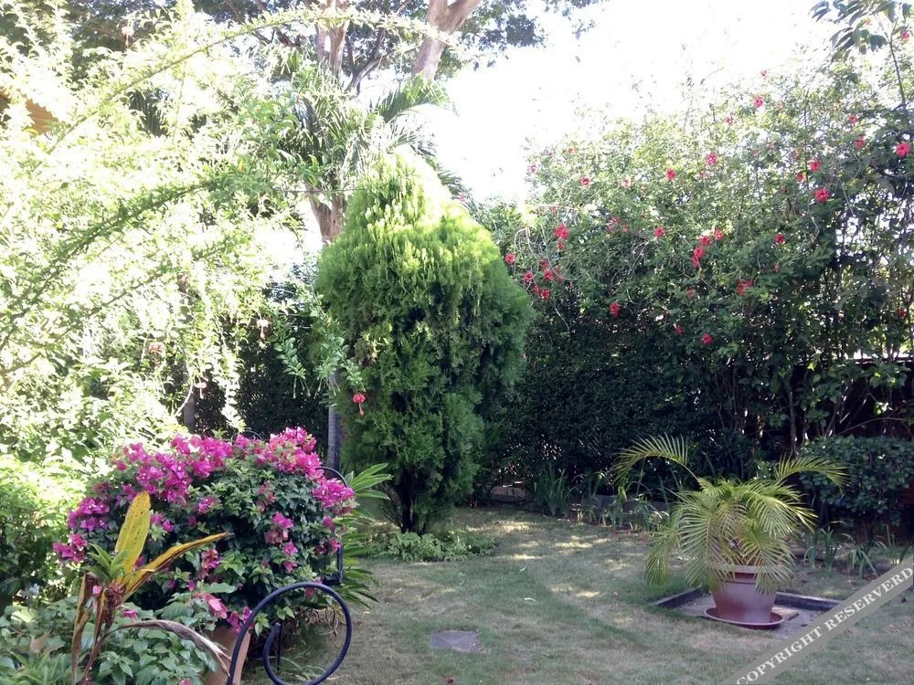 Hotel Boutique Villa Maya