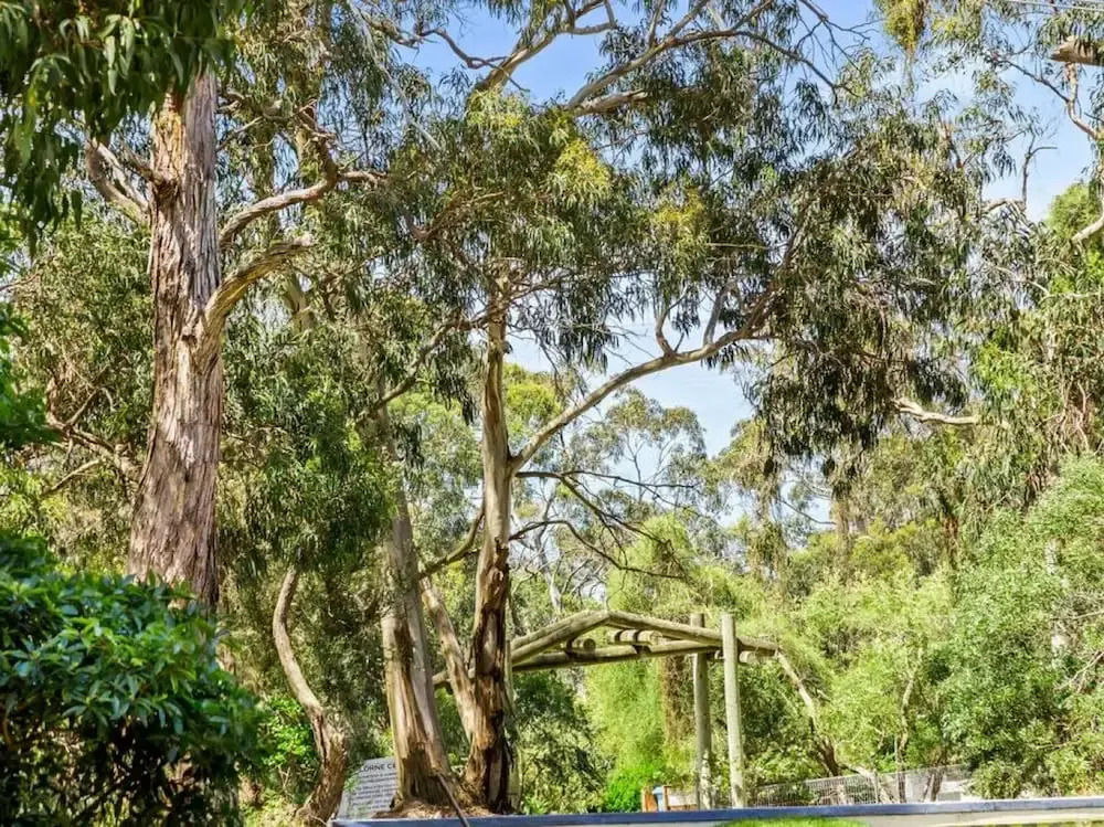 Groovy Log House Lorne Ocean View Log House Pet Friendly Freshly Renovated