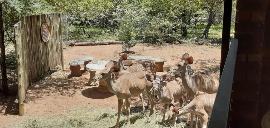 Ukweza Guest House