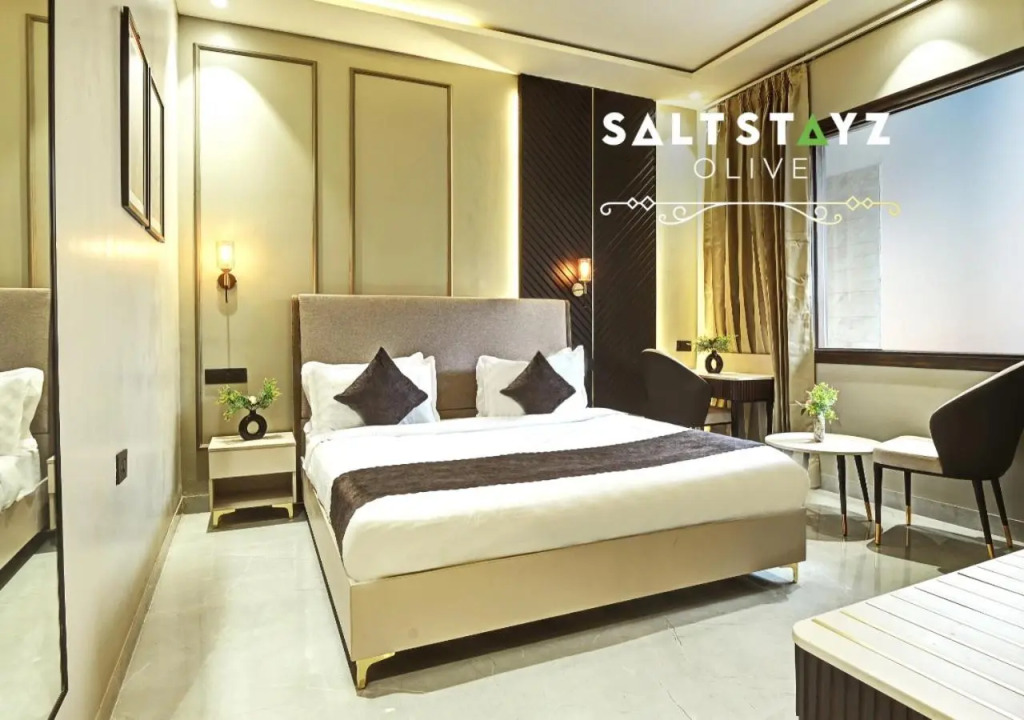 Saltstayz Select - Pitampura