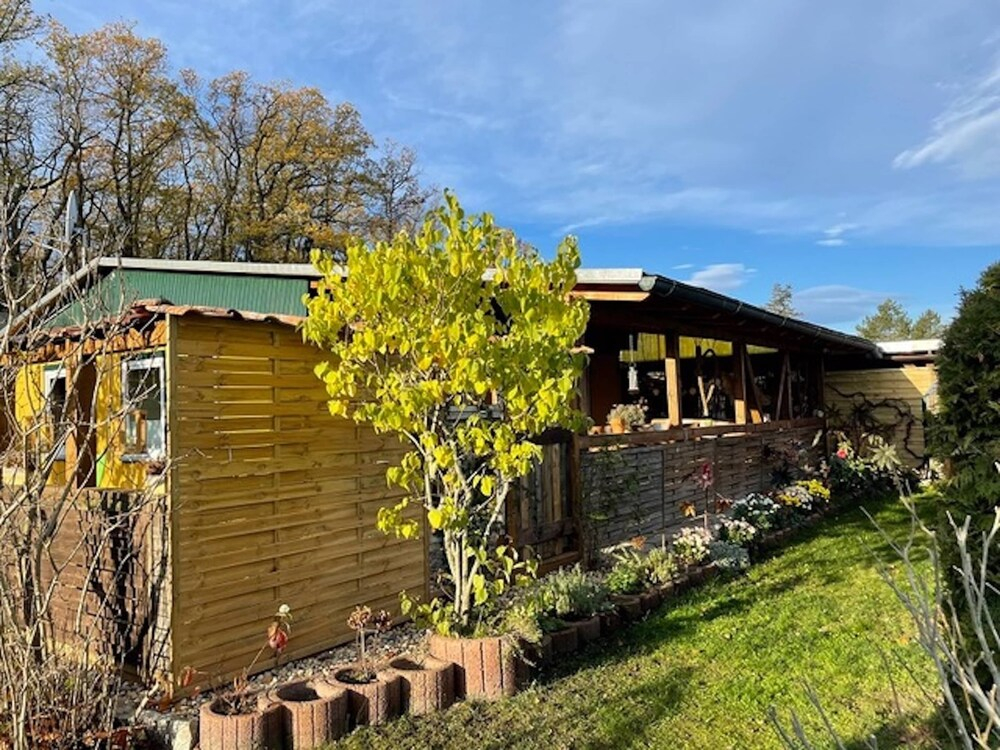 Spacious Holiday Home in Wienrode near Braunlage Ski Area