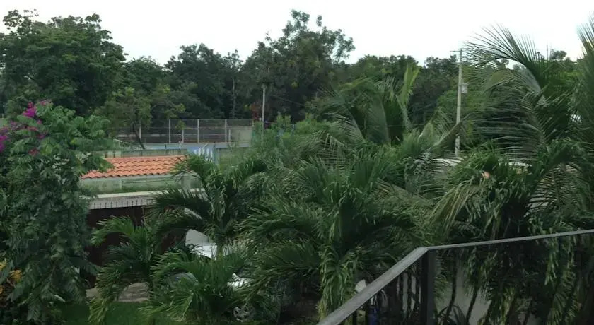 Casa Nash