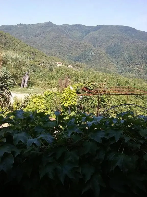 Casa Virgilio