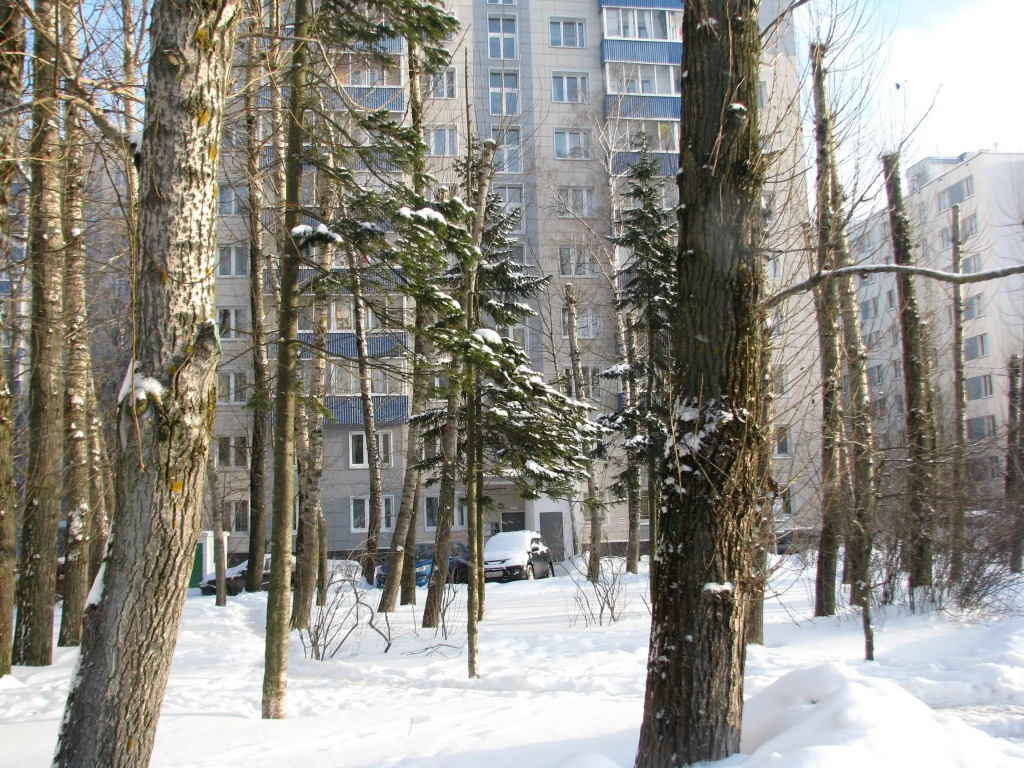 Apartment Elena