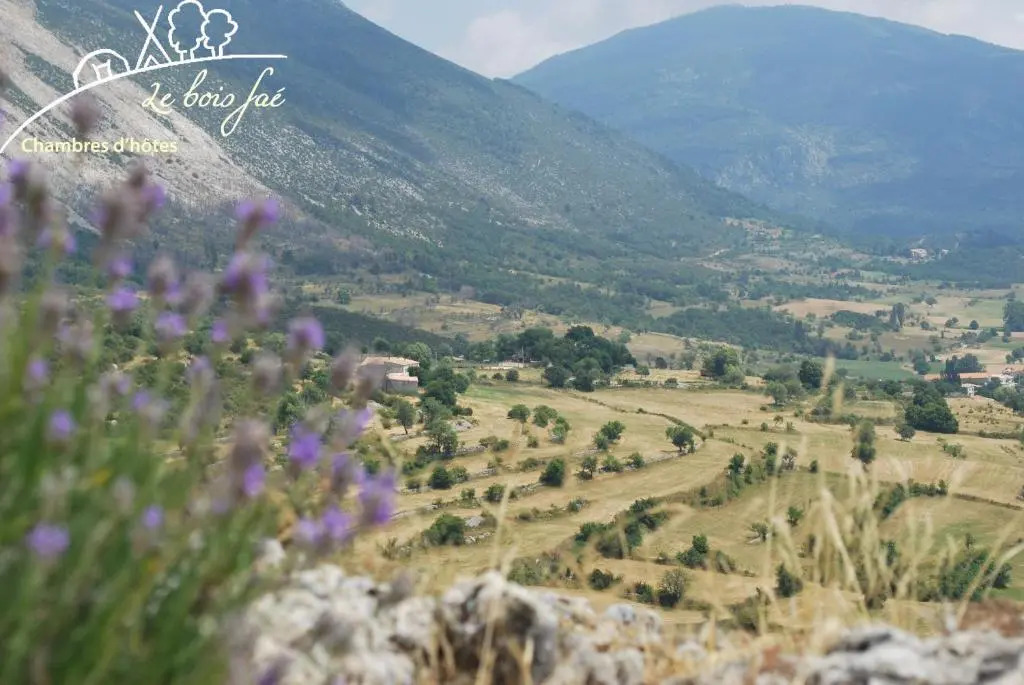 Les insolites de la bastide