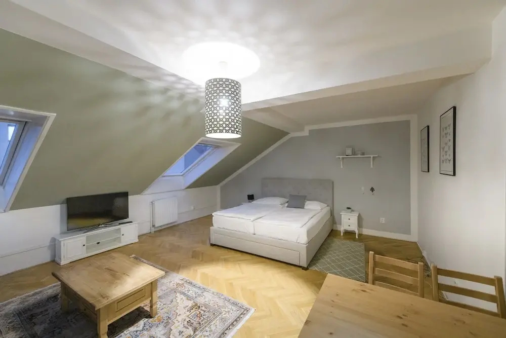 Ruzova Spot Apartments