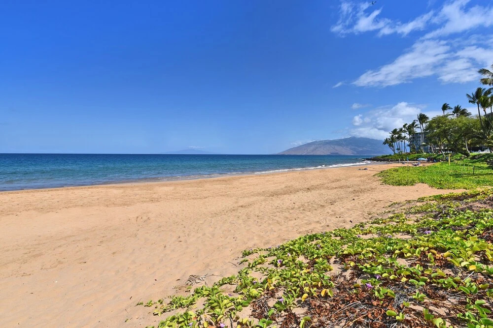 Kihei Kai Nani 373 1 Bedroom Condo