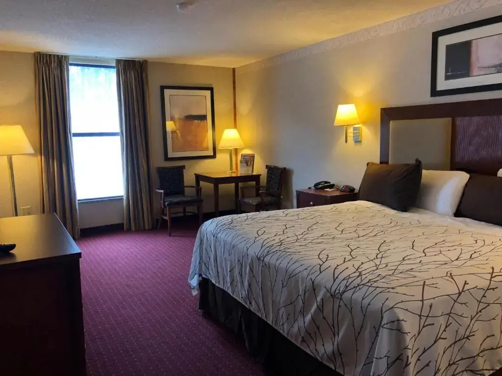 Mineral Palace Hotel & Gaming