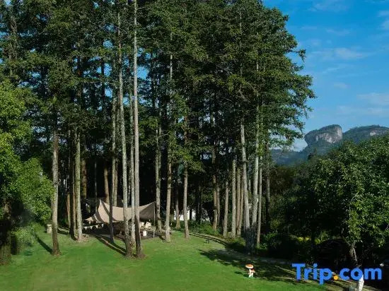 Wuyishan Rongjingshu Hotel