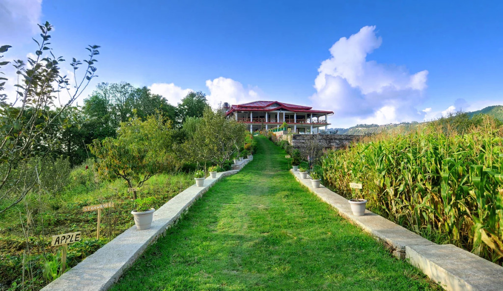 Dyo - The Organic Village Resort