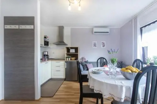 Apartments Repinc