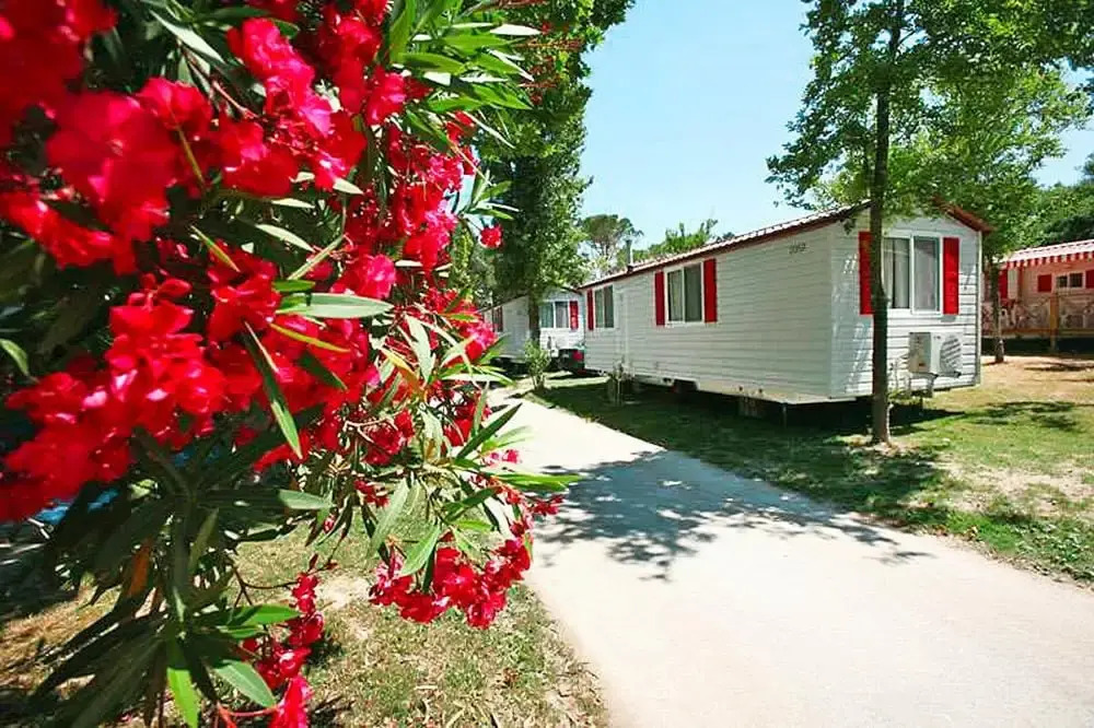 Mobile Home for dog Owners in Caorle
