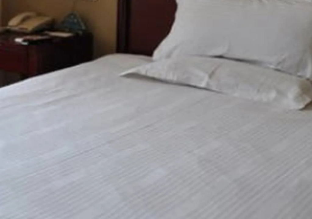 Greentree Inn University Of Technology Caizhuan