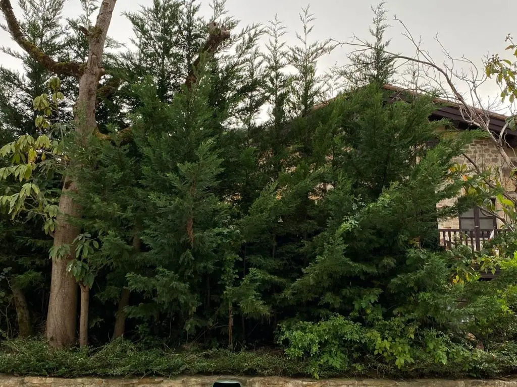 Posada y Apartamentos Trebuesto de Guriezo