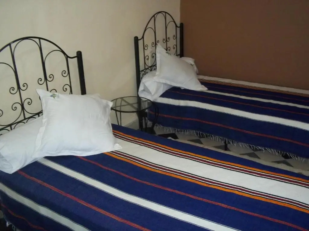 Riad Taroudant Palmiers