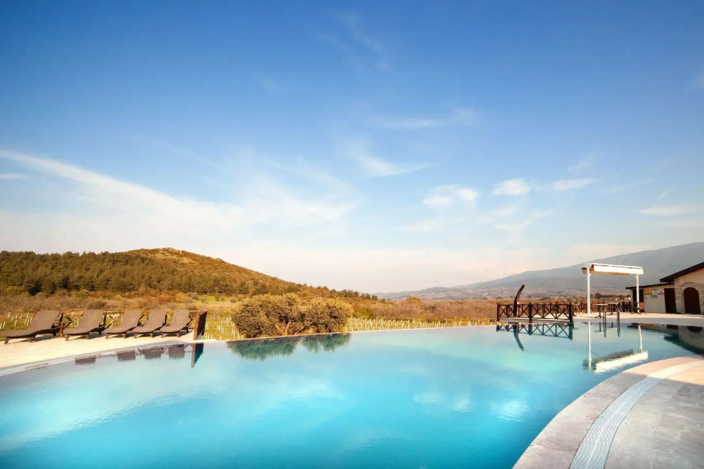 Vinifera Vineyards Hotel