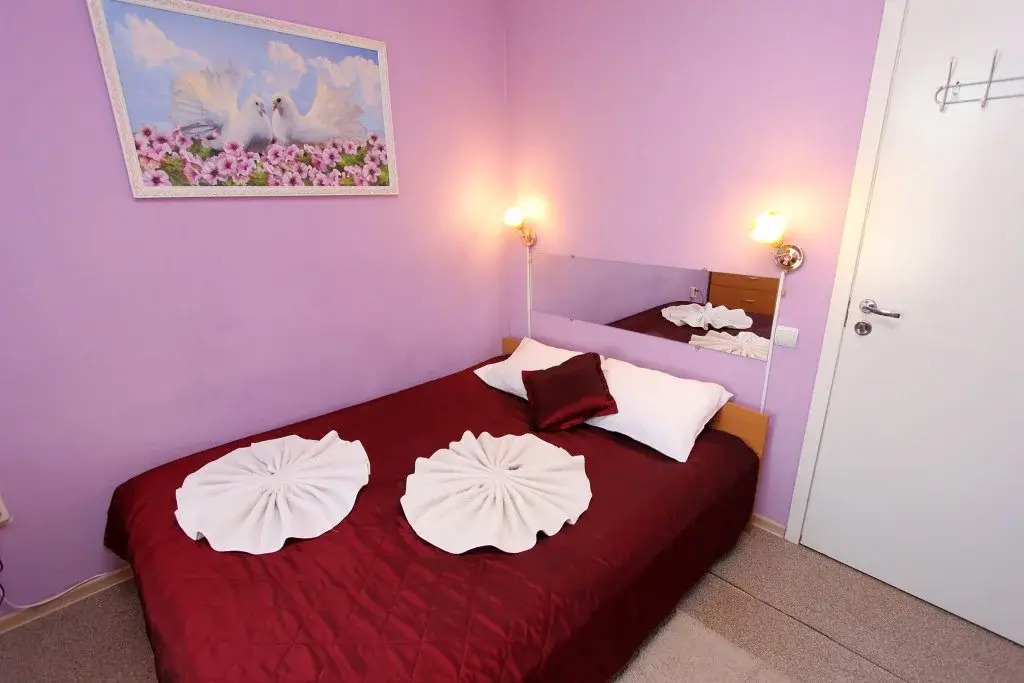Geralda Ekonom otel' na Pushkinskoy 11