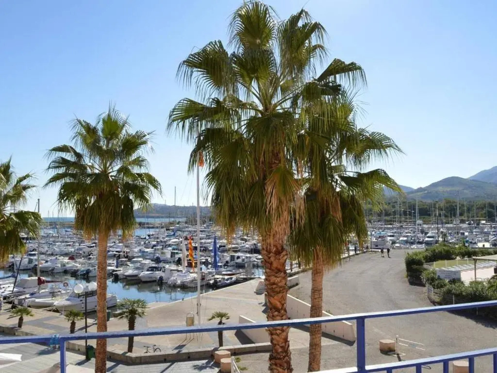 Appartement Argelès-sur-Mer, 2 pièces, 6 personnes - FR-1-225-464