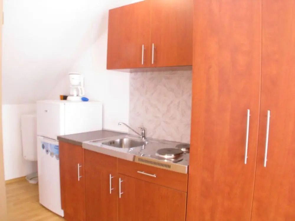 Apartments Goga