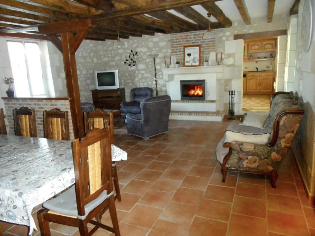 Gîte familial 12 pers. proche Valençay, ZooParc de Beauval et Châteaux de la Loire, parc arboré et jeux - FR-1-591-113