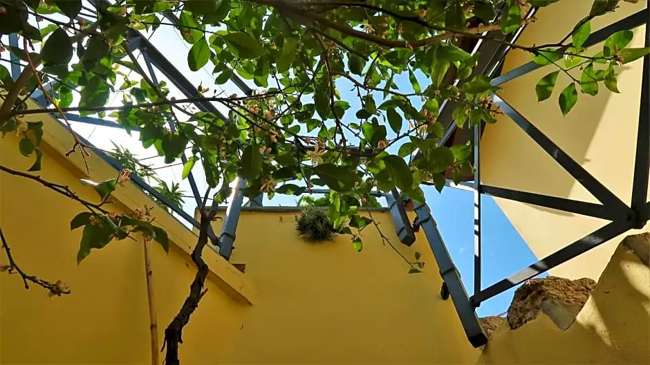 B&B Dalù