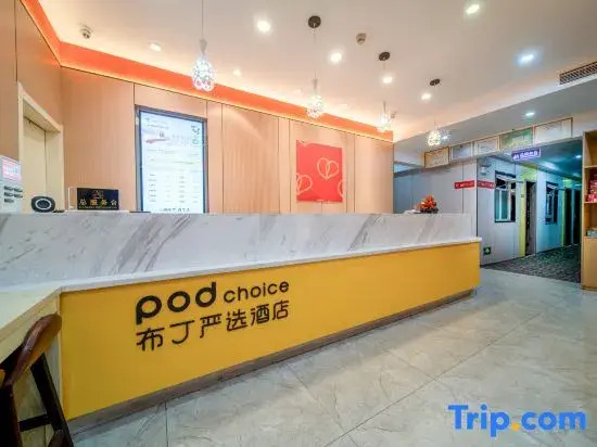 Pod Inn Hotel (Nanjing South Station North Plaza Window of Greenland)