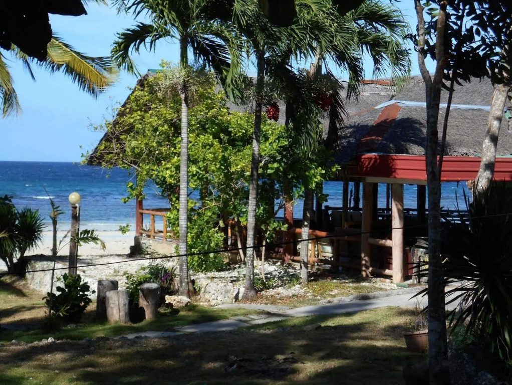 Toris Paradise