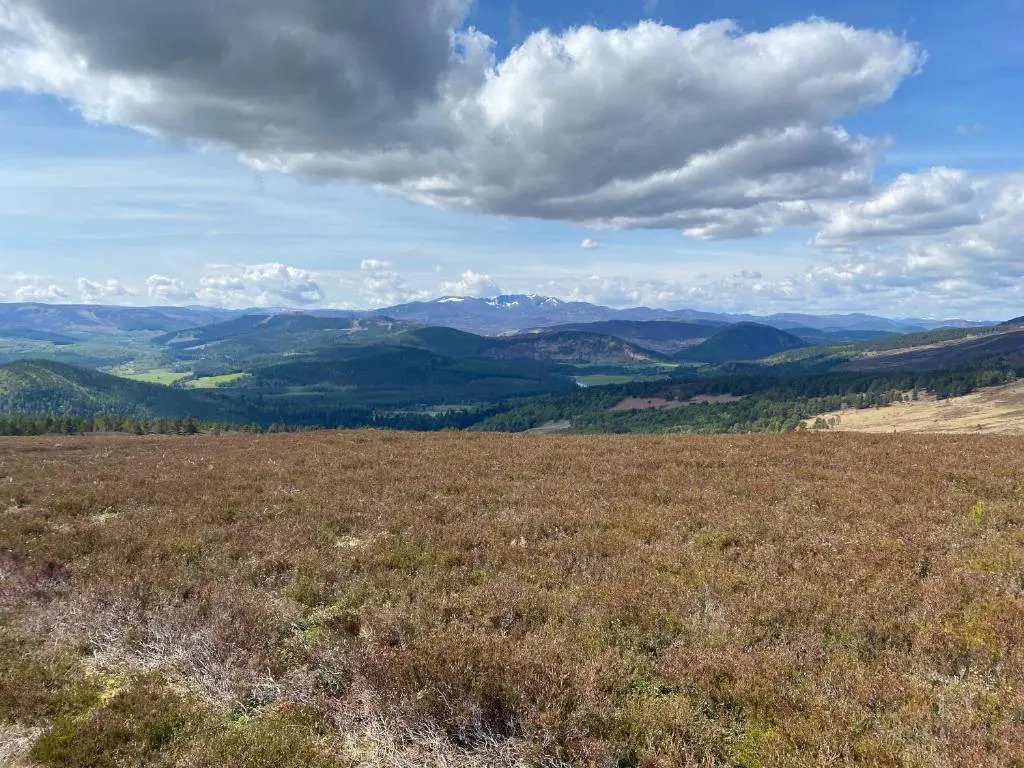 No 45, Ballater