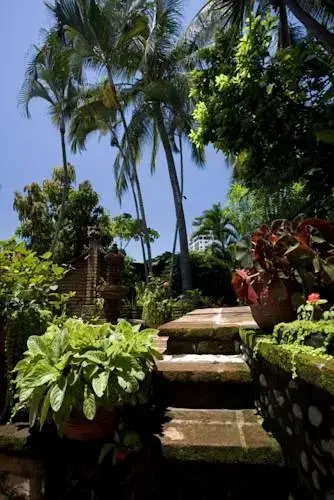 Casa Corona