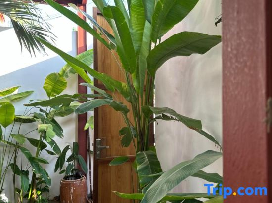 PalmCalina - PhuQui Beach House
