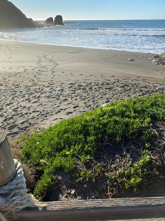 Sea Breeze Motel