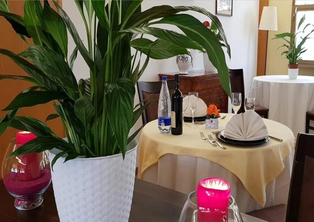 Hotel Missirini