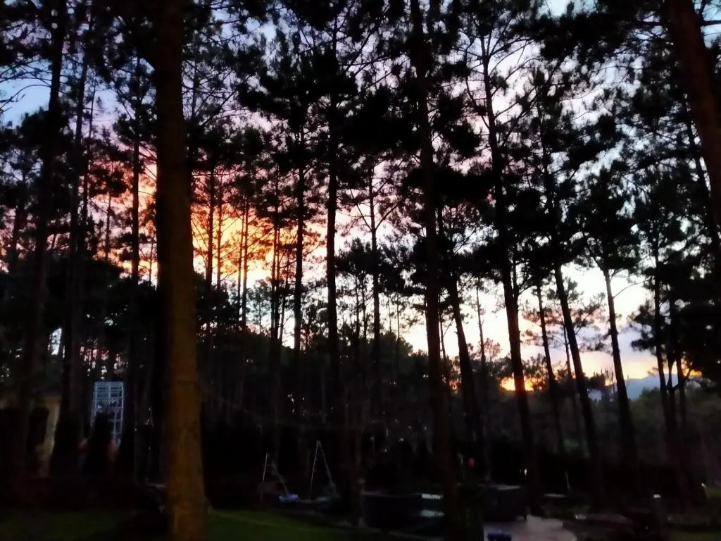 Tremolo Villas Dalat