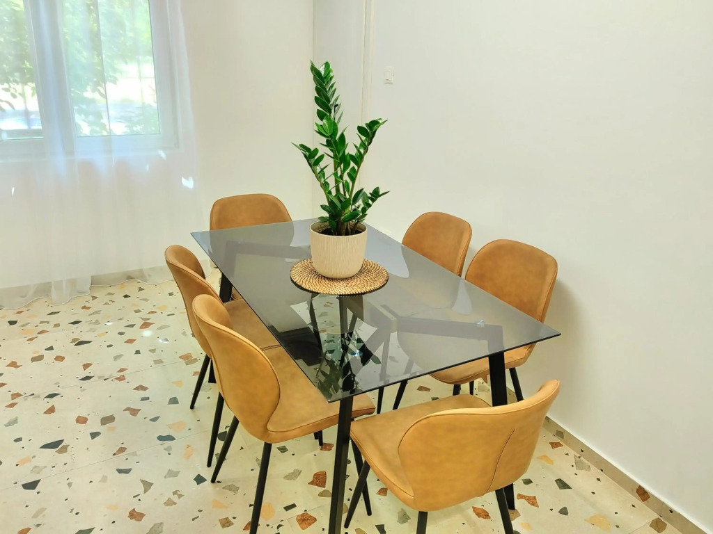 Luxury apartment Podgorica