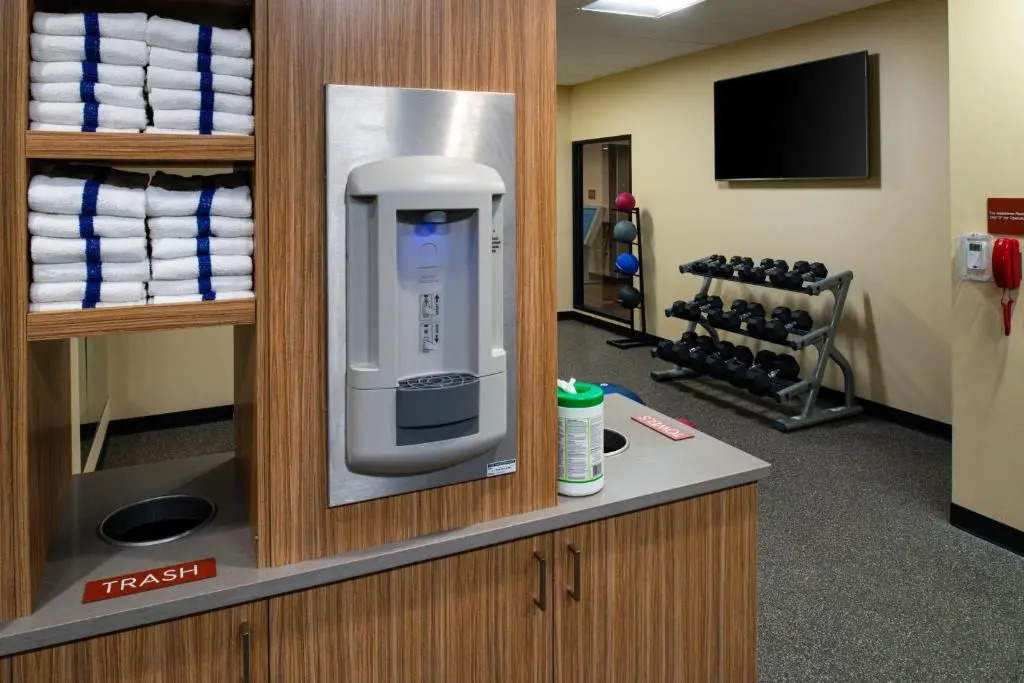 TownePlace Suites by Marriott Detroit Belleville