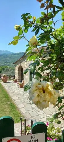 Il Poggio al Sole