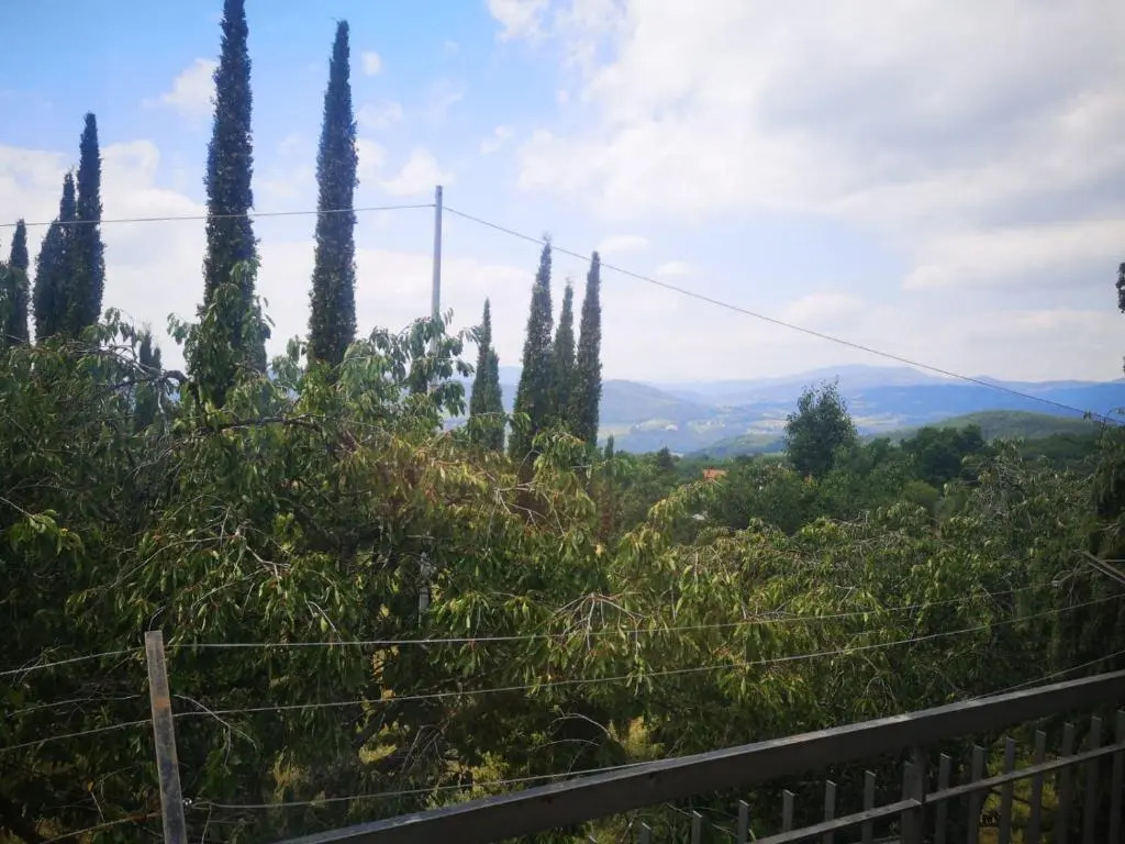La casa di Nonno