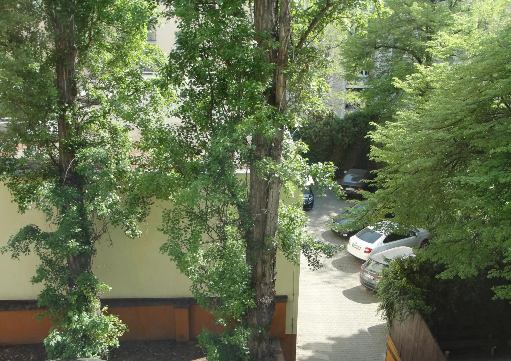 Letna luxury apartment