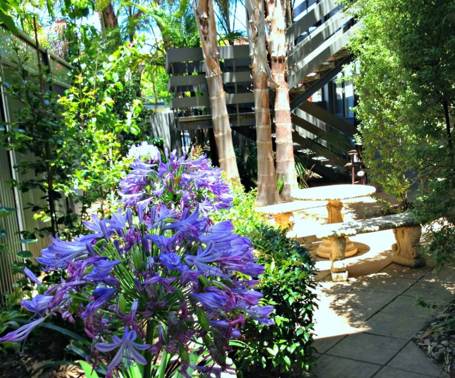 Adelaide Dress Circle Apartments Sussex Street