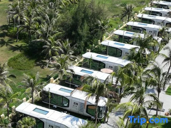 RV Camping Camp