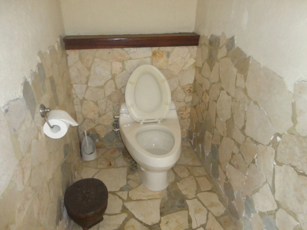 Puri Cantik