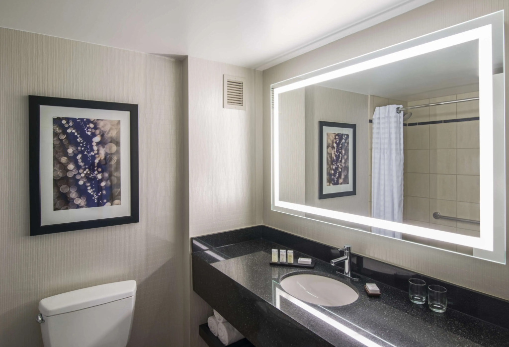 Embassy Suites by Hilton Chicago Downtown Magnificent Mile