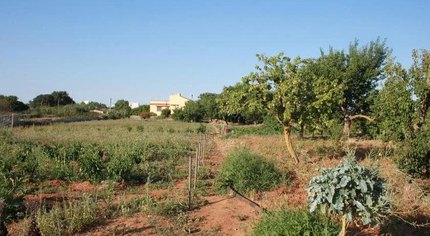 Kalinifta - Io parto Io arrivo